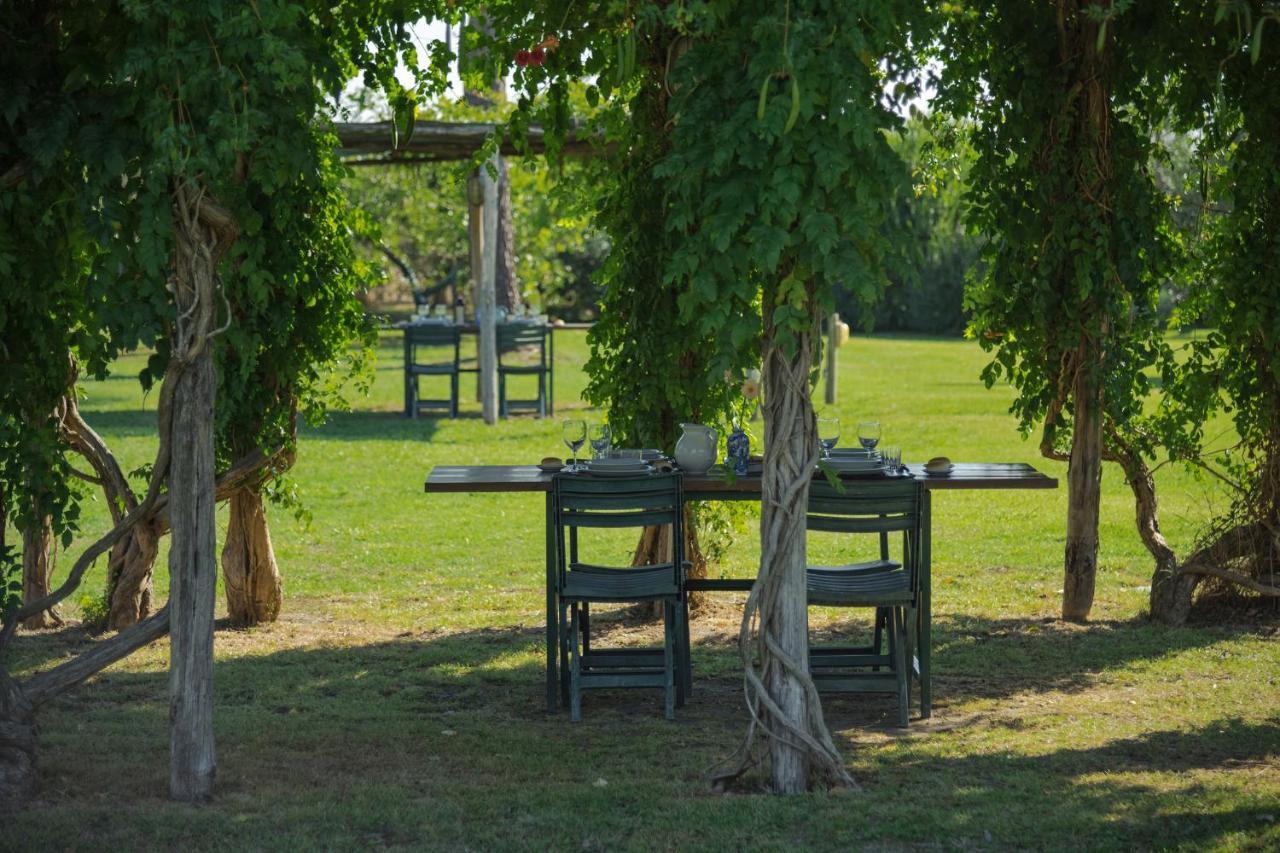 Agriturismo Bandinelli Braccagni Bagian luar foto